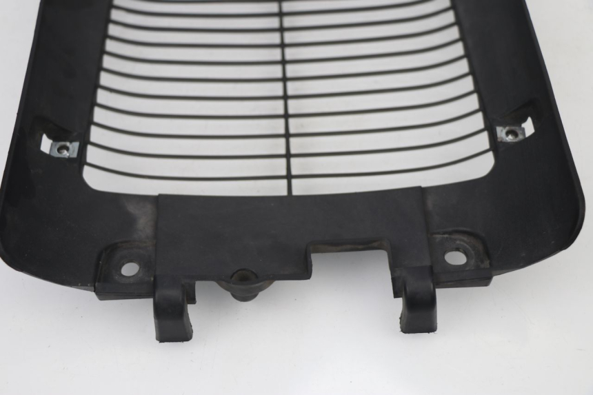 photo de GRILLE RADIATEUR SYM MAXSYM I 400 (2011 - 2016) - Gros plan technique