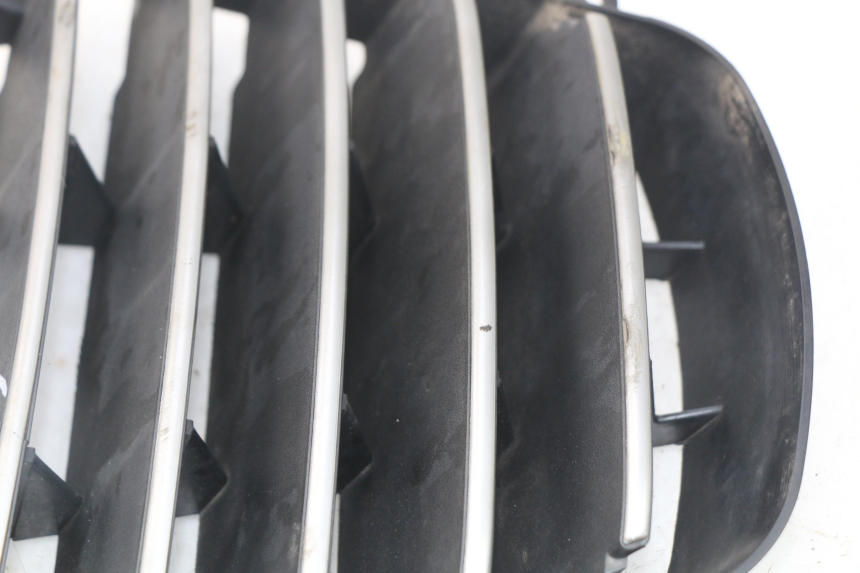 photo de GRILLE RADIATEUR PIAGGIO MP3 125 (2006 - 2014) - Vue d’ensemble