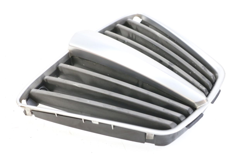 photo de GRILLE RADIATEUR PIAGGIO MP3 125 (2006 - 2014) - Vue principale