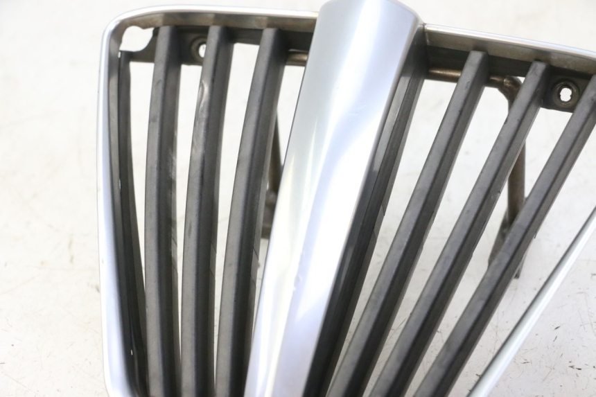 photo de GRILLE RADIATEUR PIAGGIO MP3 RL 250 (2006 - 2010) - Détail de la pièce