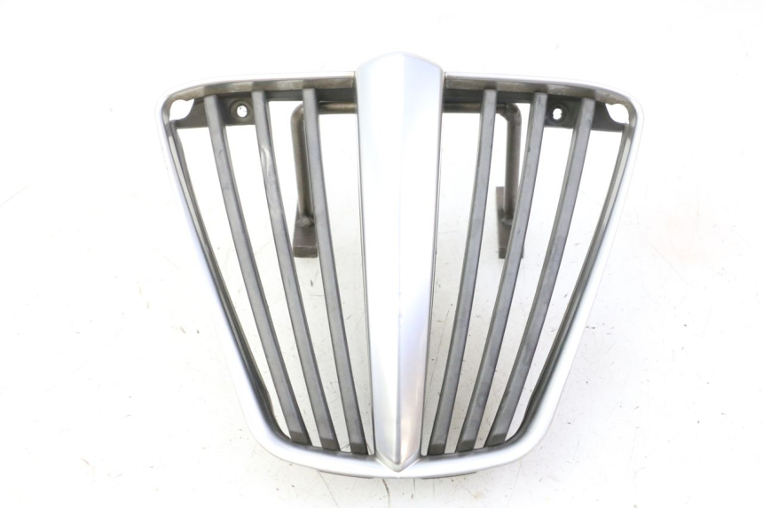 photo de GRILLE RADIATEUR PIAGGIO MP3 RL 250 (2006 - 2010) - Zoom état d’usage