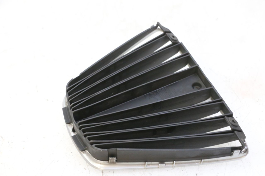 photo de GRILLE RADIATEUR PIAGGIO MP3 RL 250 (2006 - 2010) - Gros plan technique