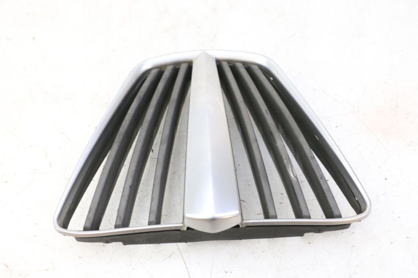 photo de GRILLE RADIATEUR PIAGGIO MP3 RL 250 (2006 - 2010) - État de surface