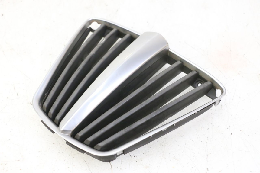 photo de GRILLE RADIATEUR PIAGGIO MP3 RL 250 (2006 - 2010) - Marquages et références