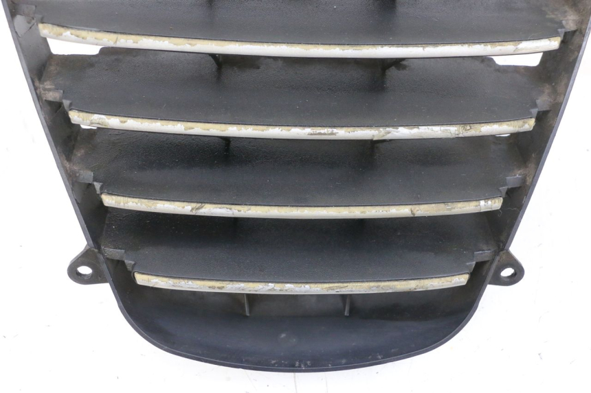 photo de GRILLE RADIATEUR PIAGGIO MP3 125 (2006 - 2014) - Détail de la pièce