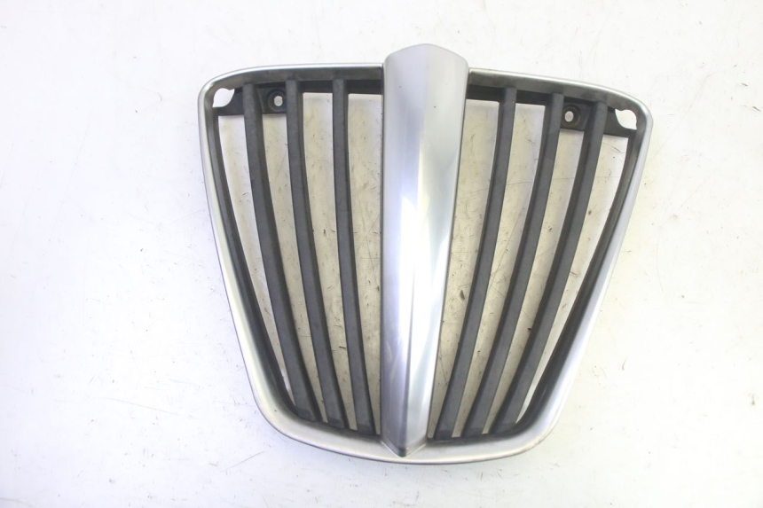 photo de GRILLE RADIATEUR PIAGGIO MP3 RL 250 (2006 - 2010) - Vue principale