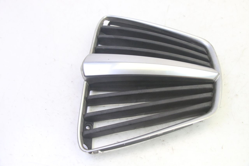 photo de GRILLE RADIATEUR PIAGGIO MP3 RL 250 (2006 - 2010) - Détail de la pièce