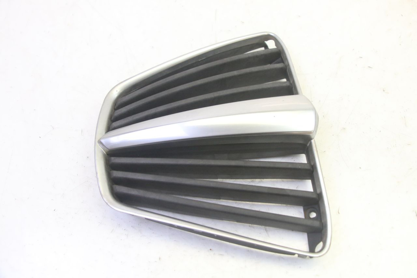 photo de GRILLE RADIATEUR PIAGGIO MP3 RL 250 (2006 - 2010) - Zoom état d’usage