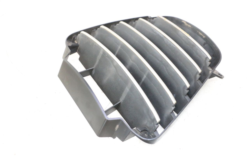 photo de GRILLE RADIATEUR PIAGGIO MP3 125 (2006 - 2014) - Gros plan technique
