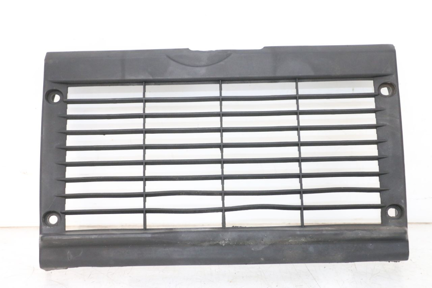 photo de GRILLE RADIATEUR HONDA NSR R 125 (1994 - 2003) - Vue principale