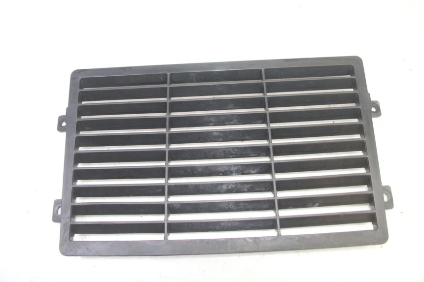 photo de GRILLE RADIATEUR MAG POWER R-STREET 50 (2016 - 2025) - Vue principale