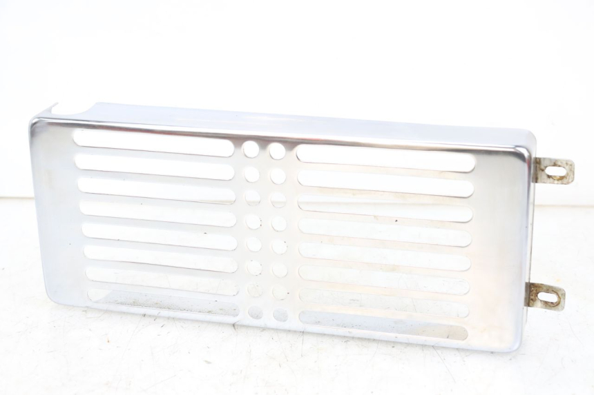 photo de GRILLE RADIATEUR REGAL RAPTOR RAXTER 2 125 (2007 - 2015) - Vue principale