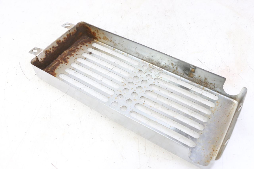 photo de GRILLE RADIATEUR REGAL RAPTOR RAXTER 2 125 (2007 - 2015) - Zoom état d’usage