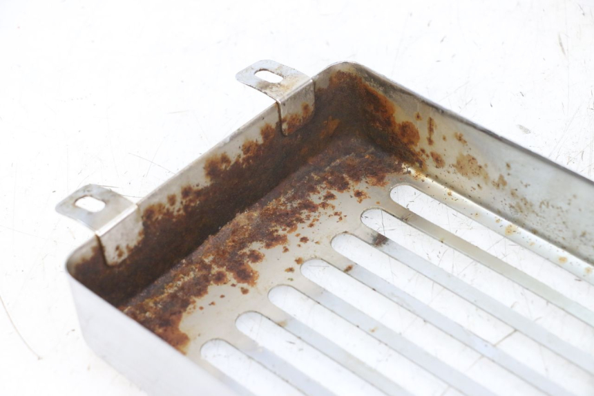 photo de GRILLE RADIATEUR REGAL RAPTOR RAXTER 2 125 (2007 - 2015) - Autre angle de vue