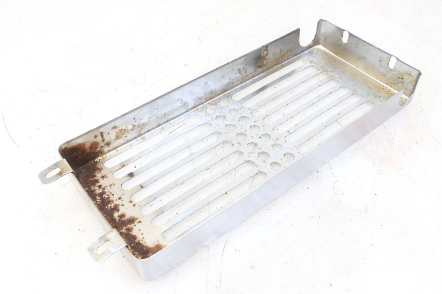 photo de GRILLE RADIATEUR REGAL RAPTOR RAXTER 2 125 (2007 - 2015) - Gros plan technique