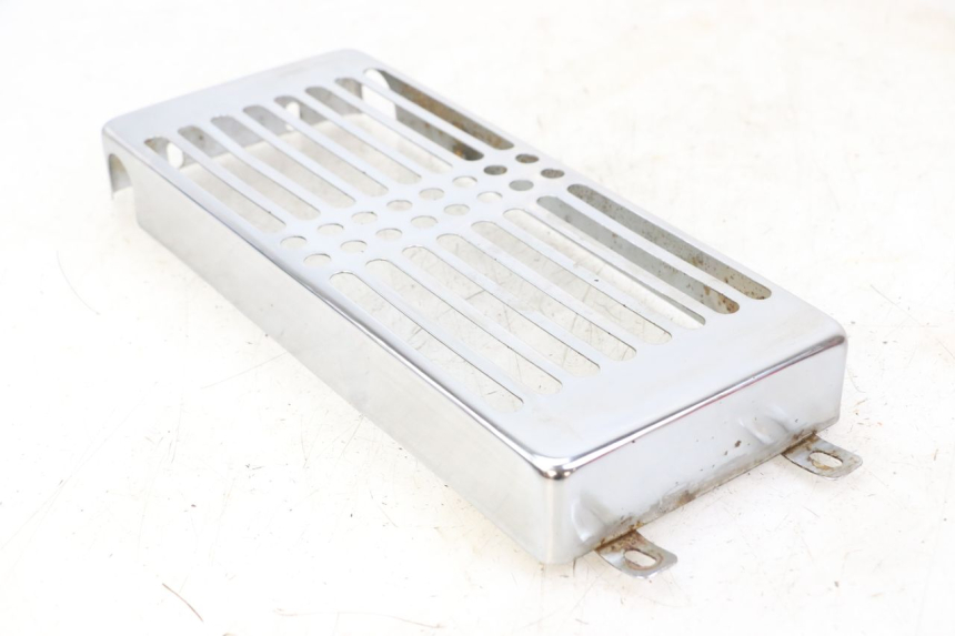 photo de GRILLE RADIATEUR REGAL RAPTOR RAXTER 2 125 (2007 - 2015) - Points de fixation