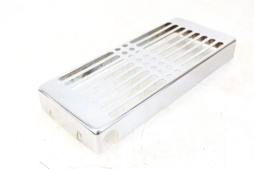 photo de GRILLE RADIATEUR REGAL RAPTOR RAXTER 2 125 (2007 - 2015) - État de surface