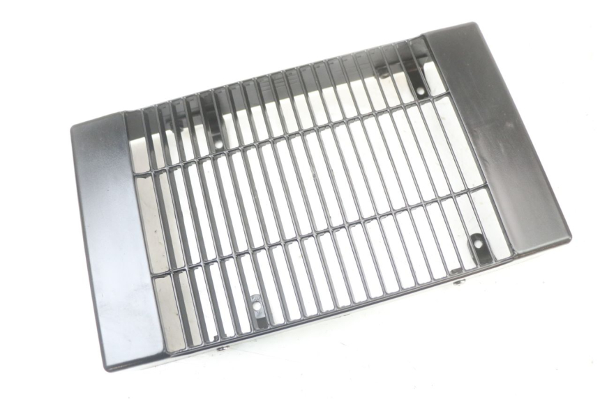 photo de GRILLE RADIATEUR REGAL RAPTOR SPYDER 125 (2010 - 2018) - Zoom état d’usage