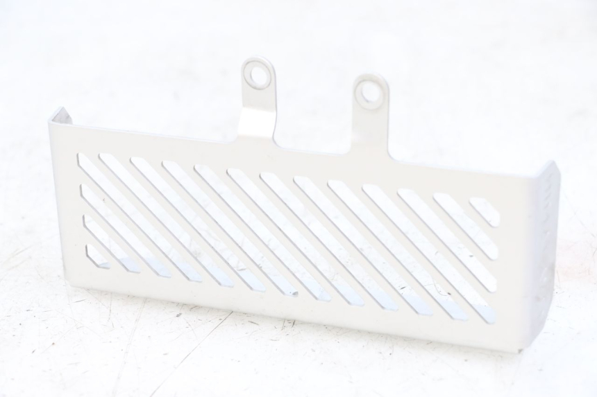 photo de GRILLE RADIATEUR ROYAL ENFIELD HYMALAYAN 410 (2016 - 2023) - Vue principale