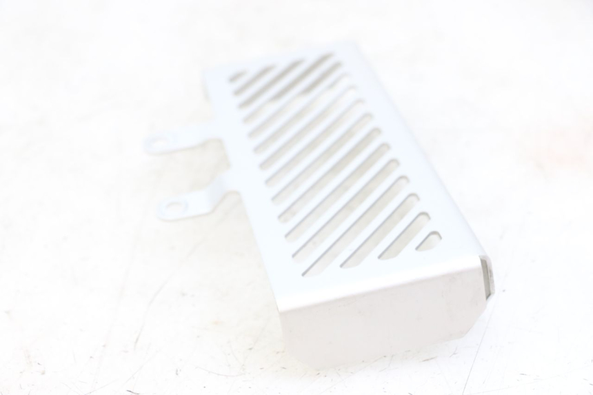 photo de GRILLE RADIATEUR ROYAL ENFIELD HYMALAYAN 410 (2016 - 2023) - Autre angle de vue