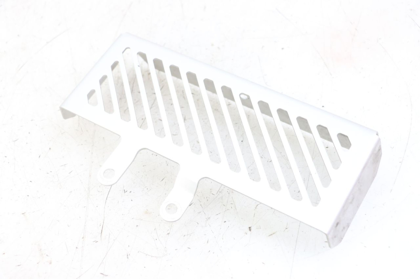 photo de GRILLE RADIATEUR ROYAL ENFIELD HYMALAYAN 410 (2016 - 2023) - Gros plan technique