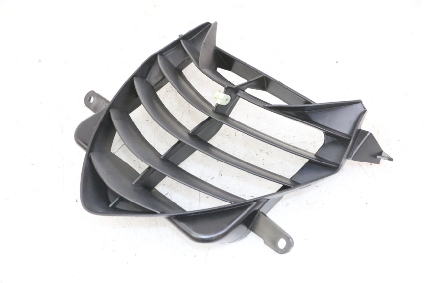 photo de GRILLE RADIATEUR PEUGEOT SPEEDFIGHT 2 LC 50 (2000 - 2009) - Gros plan technique