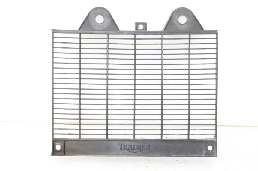 photo de GRILLE RADIATEUR TRIUMPH SPRINT 900 (1995 - 1998) - Vue principale