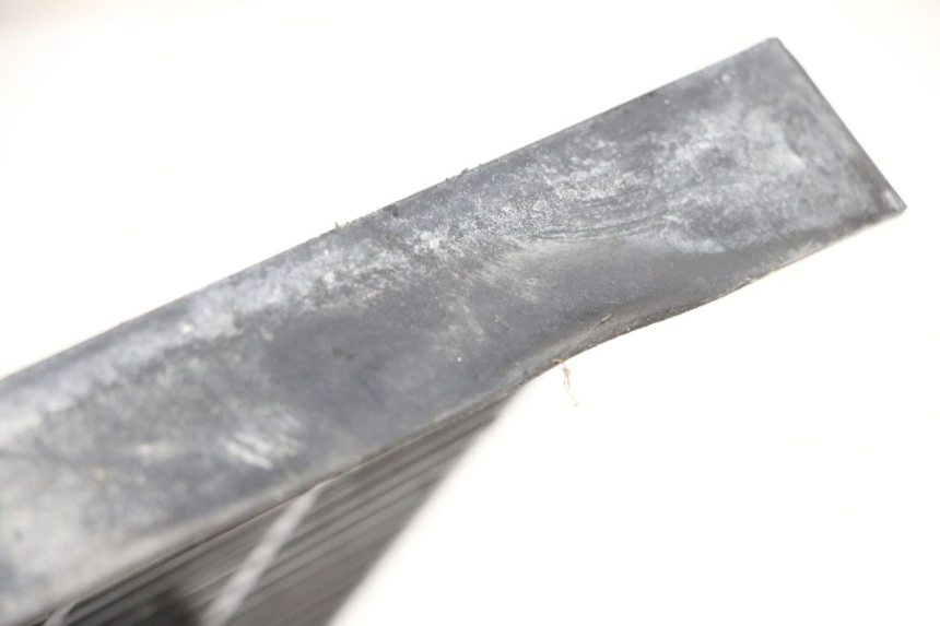 photo de GRILLE RADIATEUR TRIUMPH SPRINT 900 (1995 - 1998) - Détail de la pièce