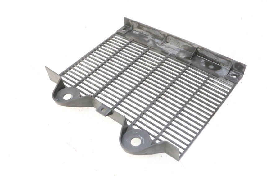 photo de GRILLE RADIATEUR TRIUMPH SPRINT 900 (1995 - 1998) - Points de fixation