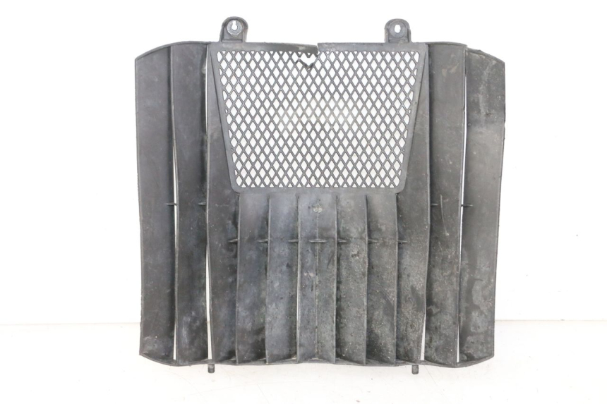 photo de GRILLE RADIATEUR KTM SUPERENDURO R 950 (2005 - 2009) - Vue principale