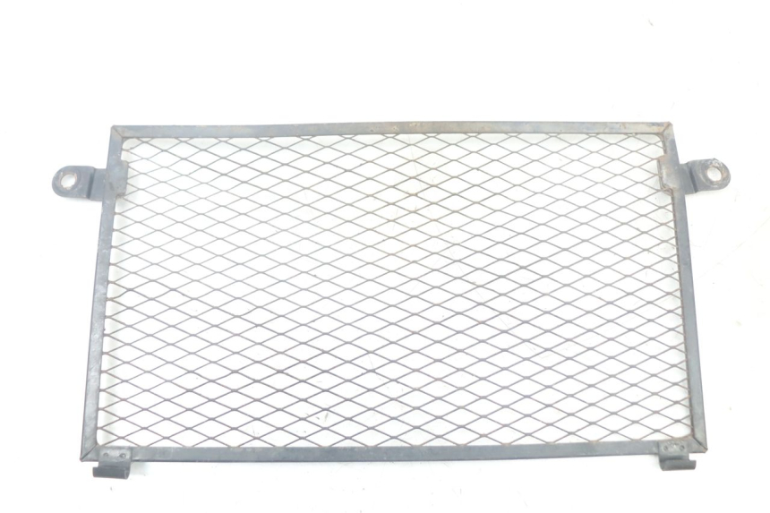 photo de GRILLE RADIATEUR YAMAHA TDM ABS 900 (2002 - 2014) - Vue principale