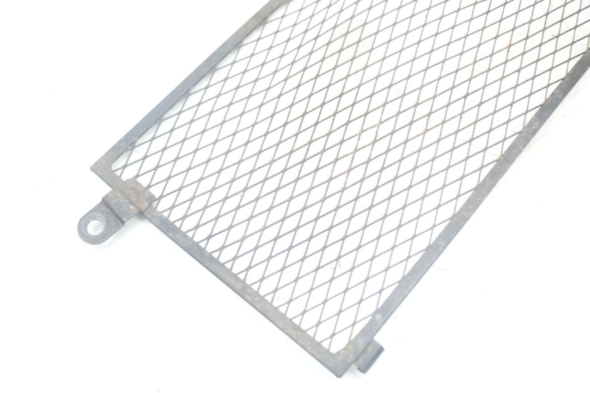 photo de GRILLE RADIATEUR YAMAHA TDM ABS 900 (2002 - 2014) - Zoom état d’usage