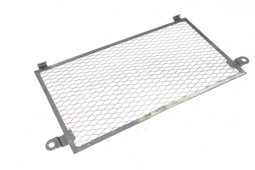 photo de GRILLE RADIATEUR YAMAHA TDM ABS 900 (2002 - 2014) - Zoom état d’usage