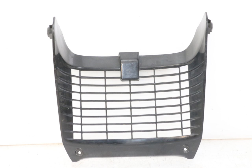 photo de GRILLE RADIATEUR YAMAHA TDR DELTABOX 125 (1997 - 2003) - Vue principale