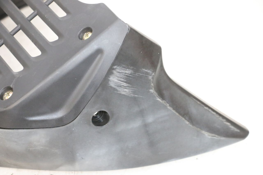 photo de GRILLE RADIATEUR DAELIM VJ ROADWIN FI 125 (2008 - 2017) - Vue d’ensemble