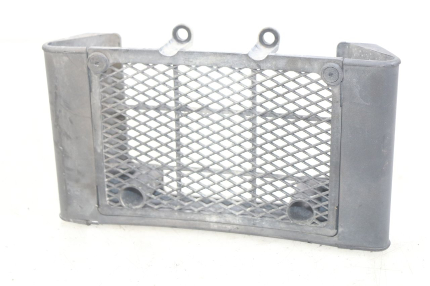 photo de GRILLE RADIATEUR DAELIM VL DAYSTAR 125 (2000 - 2011) - Vue principale
