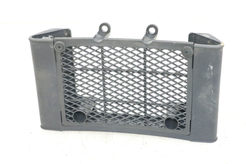 photo de GRILLE RADIATEUR DAELIM VL DAYSTAR 125 (2000 - 2011) - Vue principale