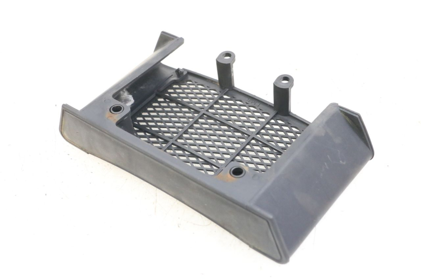 photo de GRILLE RADIATEUR DAELIM VL DAYSTAR 125 (2000 - 2011) - Zoom état d’usage