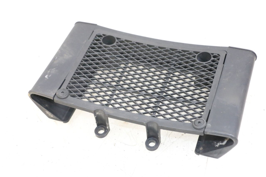 photo de GRILLE RADIATEUR DAELIM VL DAYSTAR 125 (2000 - 2011) - Autre angle de vue