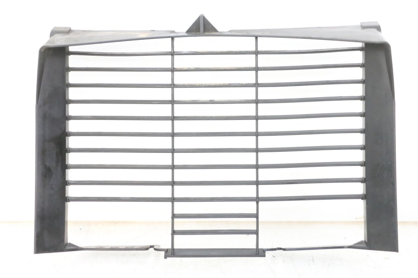 photo de GRILLE RADIATEUR YAMAHA XJ6 ABS 600 (2008 - 2016) - Vue principale