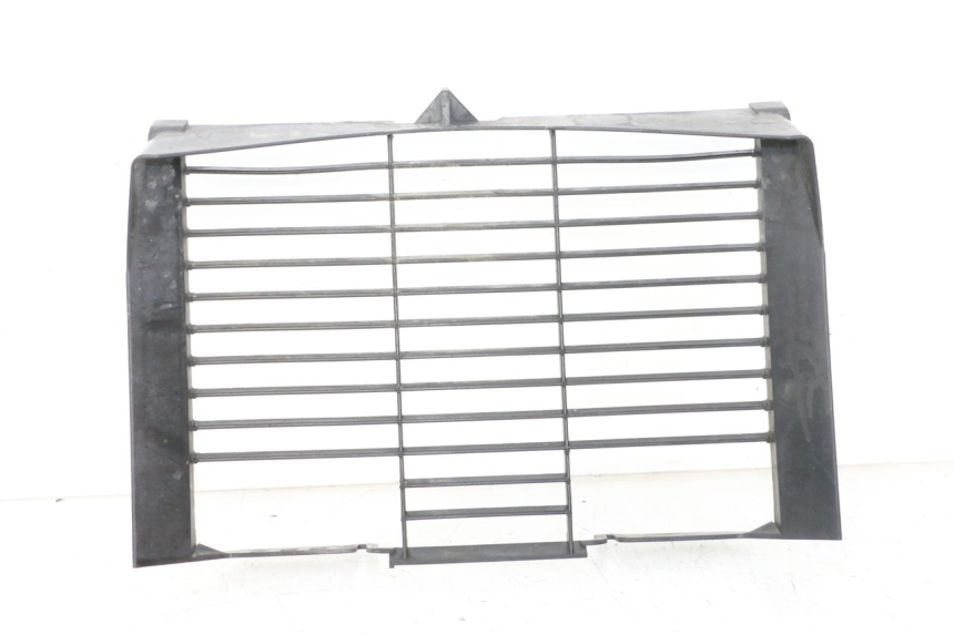 photo de GRILLE RADIATEUR YAMAHA XJ6 ABS 600 (2008 - 2016) - Vue principale