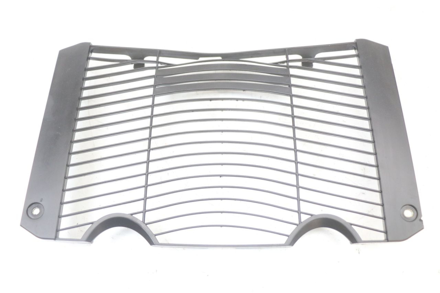 photo de GRILLE RADIATEUR YAMAHA FZ1 FAZER 1000 (2007 - 2009) - Vue principale