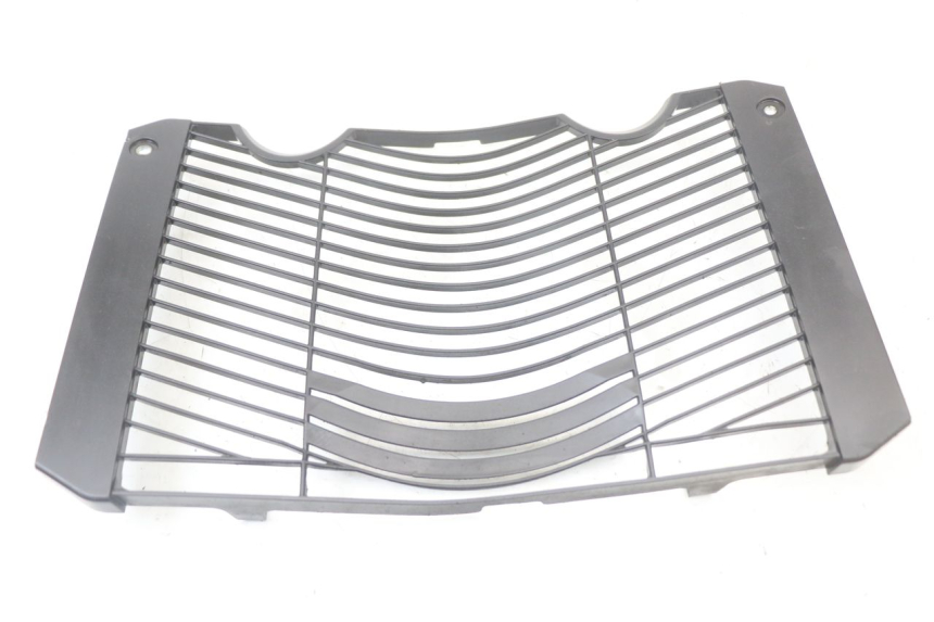 photo de GRILLE RADIATEUR YAMAHA FZ1 FAZER 1000 (2007 - 2009) - Détail de la pièce
