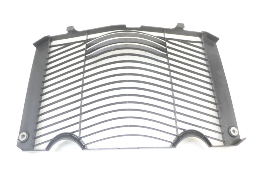 photo de GRILLE RADIATEUR YAMAHA FZ1 FAZER 1000 (2007 - 2009) - Zoom état d’usage