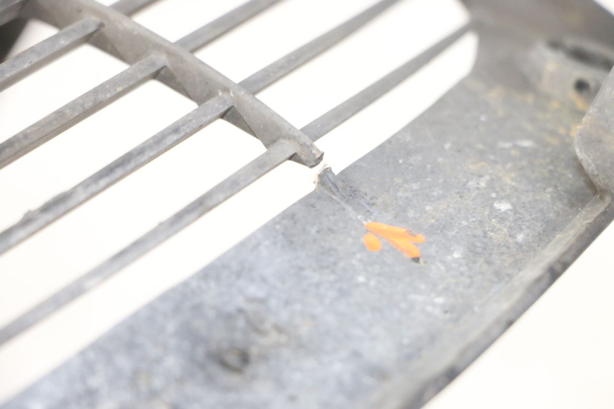 photo de GRILLE RADIATEUR YAMAHA X-MAX XMAX ABS 250 (2010 - 2014) - Zoom état d’usage