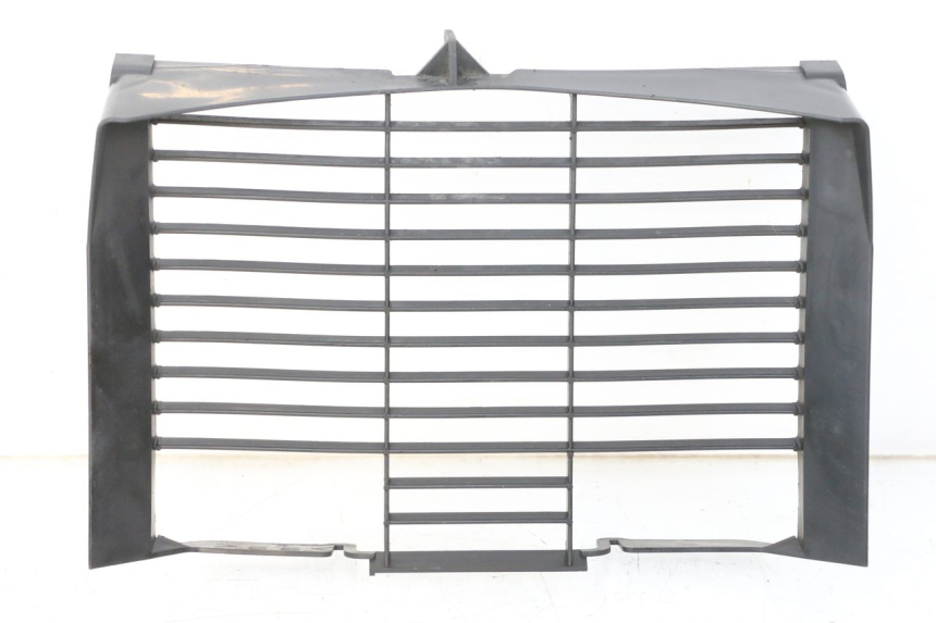 photo de GRILLE RADIATEUR YAMAHA XJ6 600 (2008 - 2016) - Vue principale