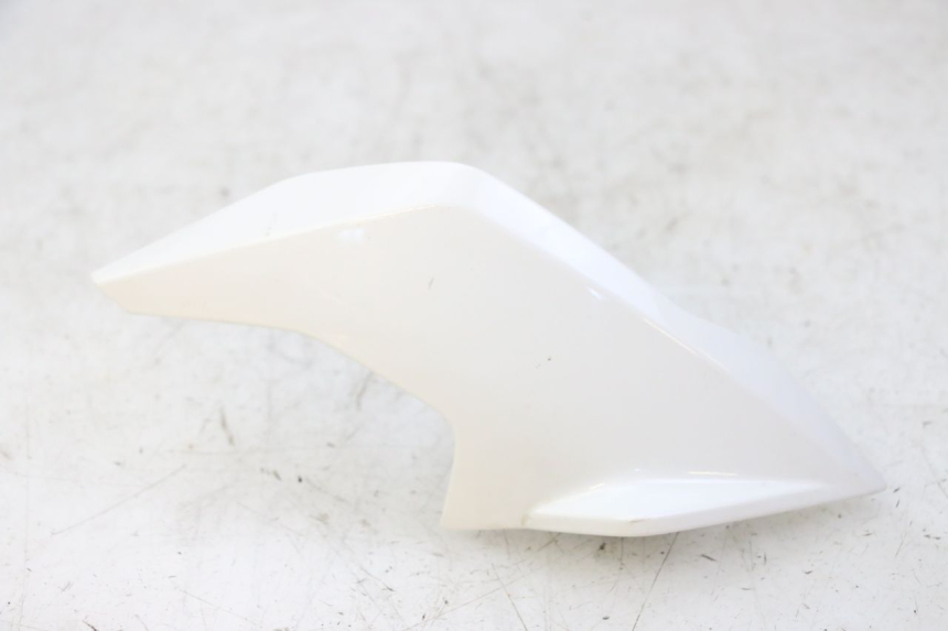 photo de INTERIEUR TETE FOURCHE DROIT BMW G310 R 310 (2016 - 2020) - Vue principale