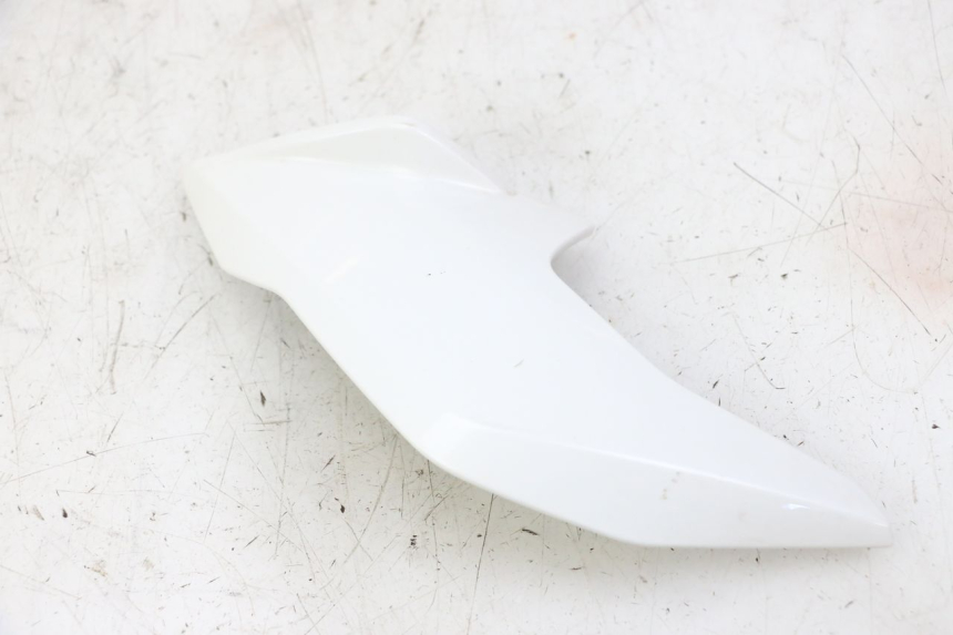 photo de INTERIEUR TETE FOURCHE DROIT BMW G310 R 310 (2016 - 2020) - Vue d’ensemble