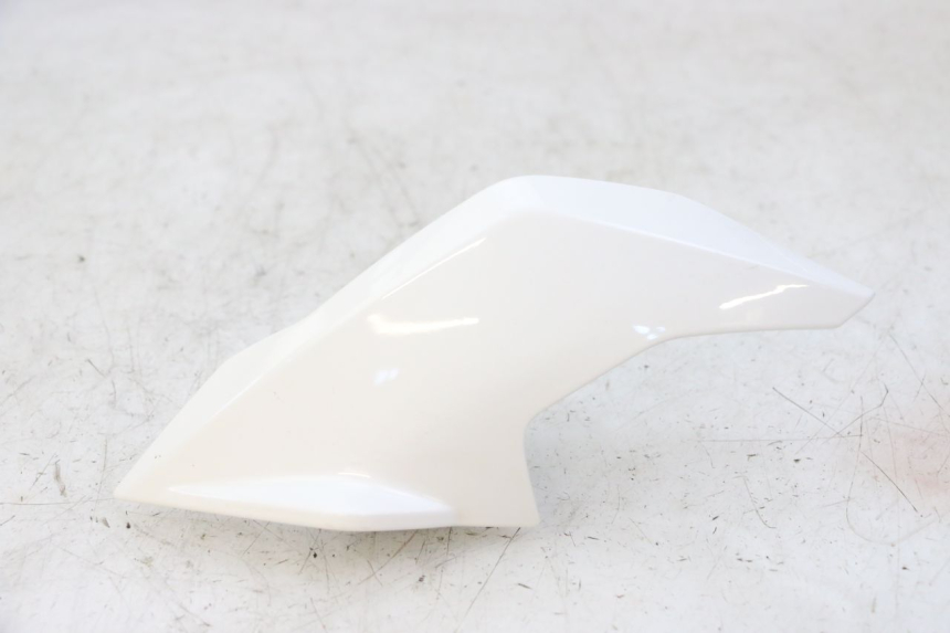 photo de INTERIEUR TETE FOURCHE GAUCHE BMW G310 R 310 (2016 - 2020) - Vue principale