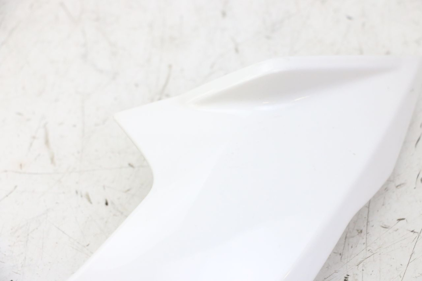 photo de INTERIEUR TETE FOURCHE GAUCHE BMW G310 R 310 (2016 - 2020) - Gros plan technique